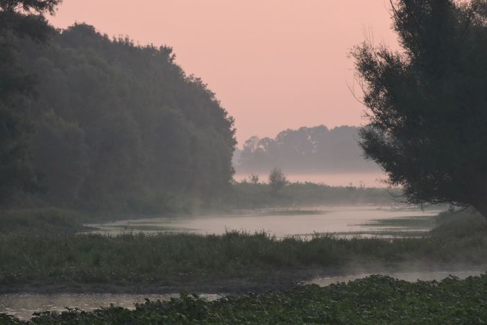 Vlažna staništa pomažu nam u borbi s klimatskim promjenama! 