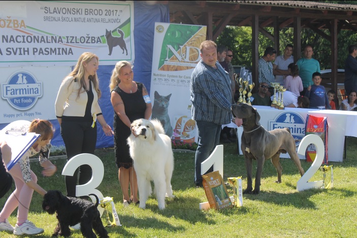 U Slavonskom Brodu održana 26. Nacionalna izložba pasa svih pasmina