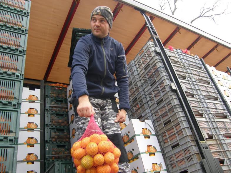 Petar Bjeliš: ovogodišnji  urod jako velik, mandarine  vrhunske kvalitete, ali nema dovoljno berača…