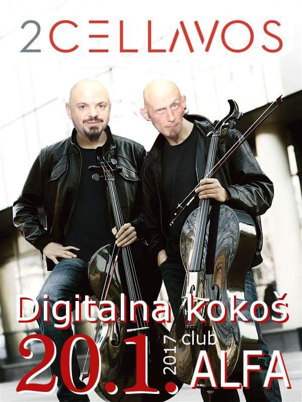 Koncert Digitalne kokoši u Alfi