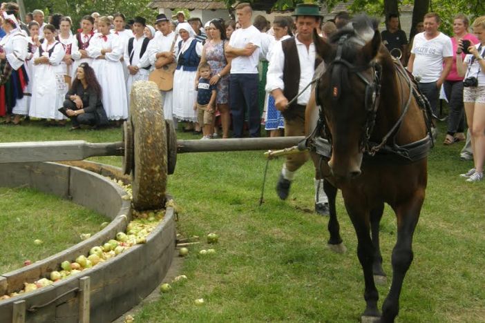 U Beravcima održana jedinstvena smotra starog običaja – 35. Ižimača