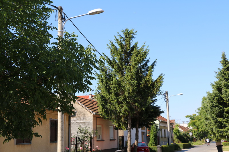 Nastavljaju se radovi na izgradnji i modernizaciji javne rasvjete na području grada