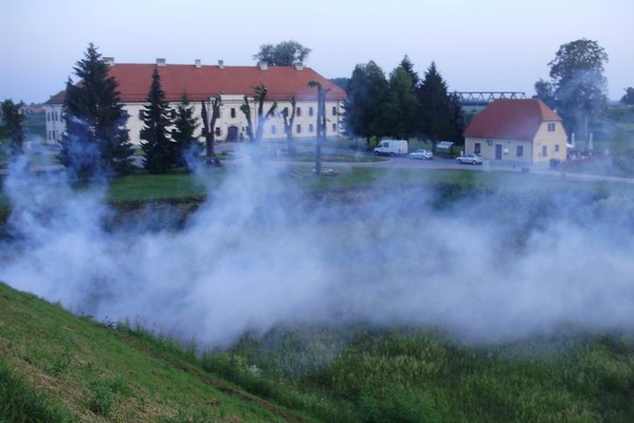 U ponedjeljak će se provoditi adulticidno suzbijanje komaraca