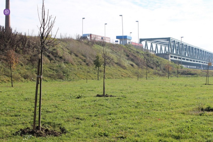 Obavijest građanima u vezi suzbijanja ambrozije