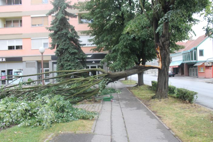 Još jedna velika grana pala na nogostup