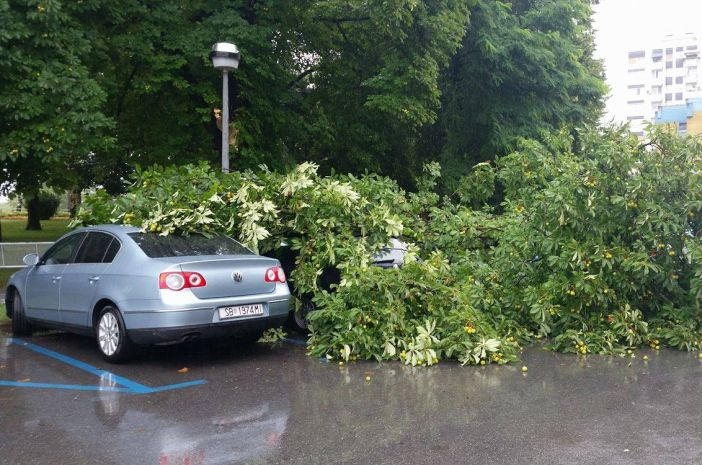 Snažan vjetar srušio granu na automobil!