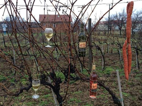 Vinkovo 2025: Blagoslov vinograda uz stroge prometne mjere