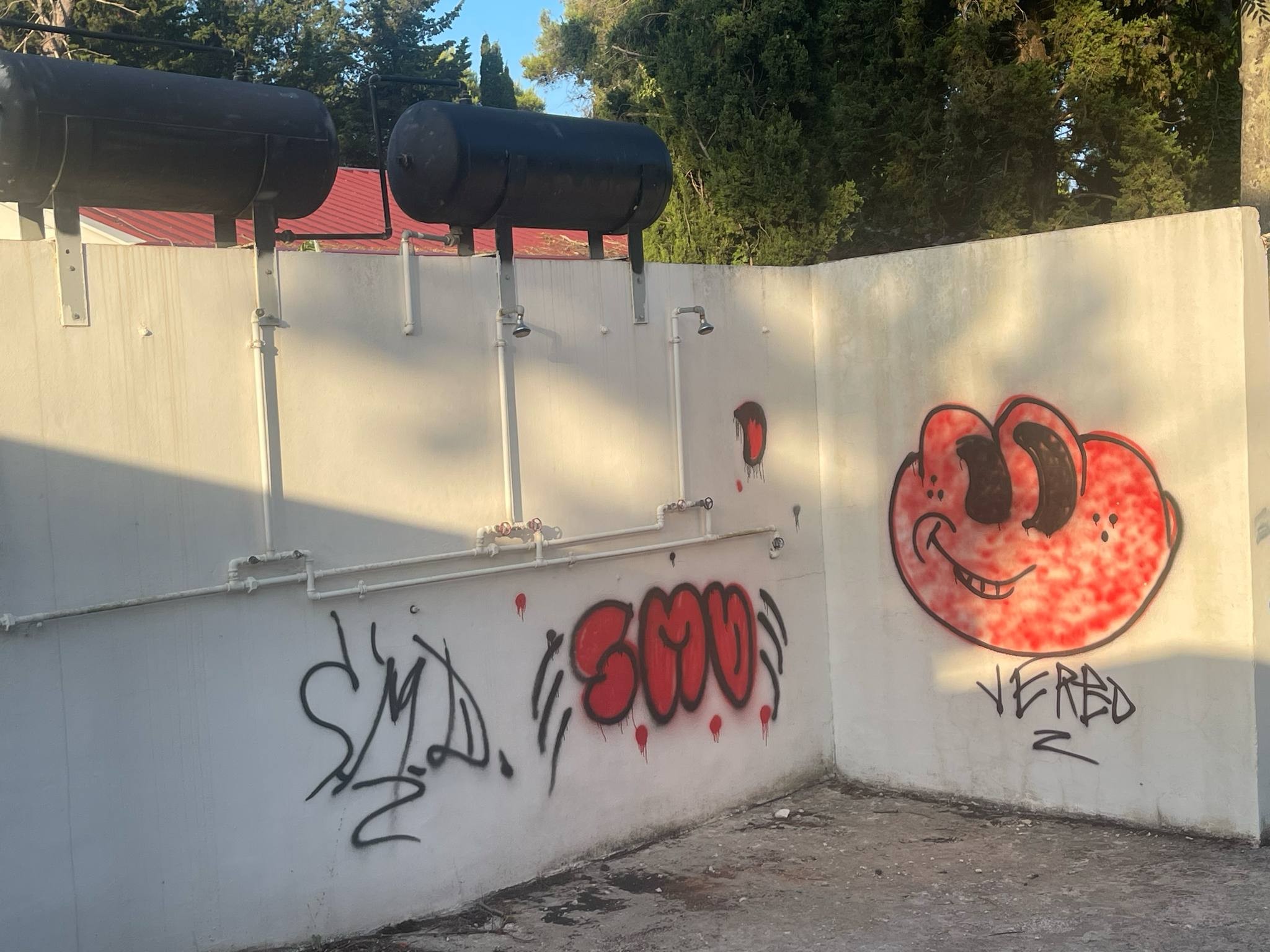 Slika 7