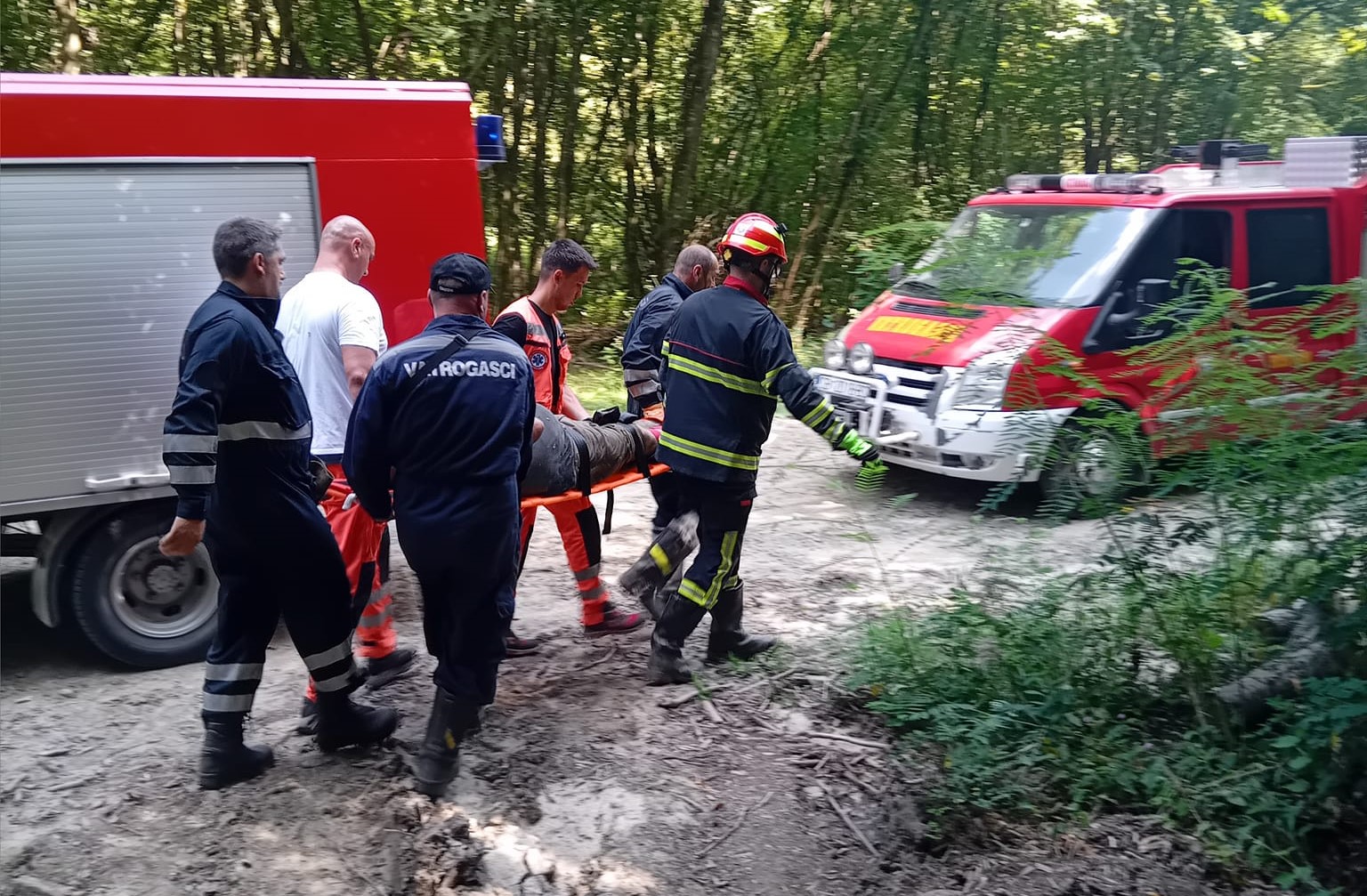 Brodski Stupnik: Vatrogasci u šumi spašavali ozlijeđenu osobu