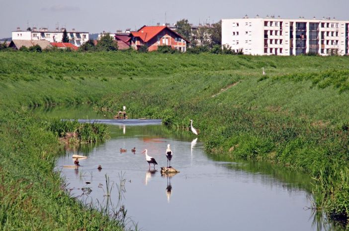 Upoznajte prirodne ljepote Brodsko- posavske županije: Glogovica