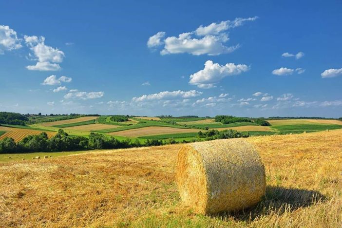 Kontrola plodnosti tla na obiteljskim gospodarstvima