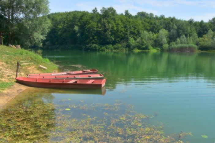 Obilježavamo Dan planeta Zemlje