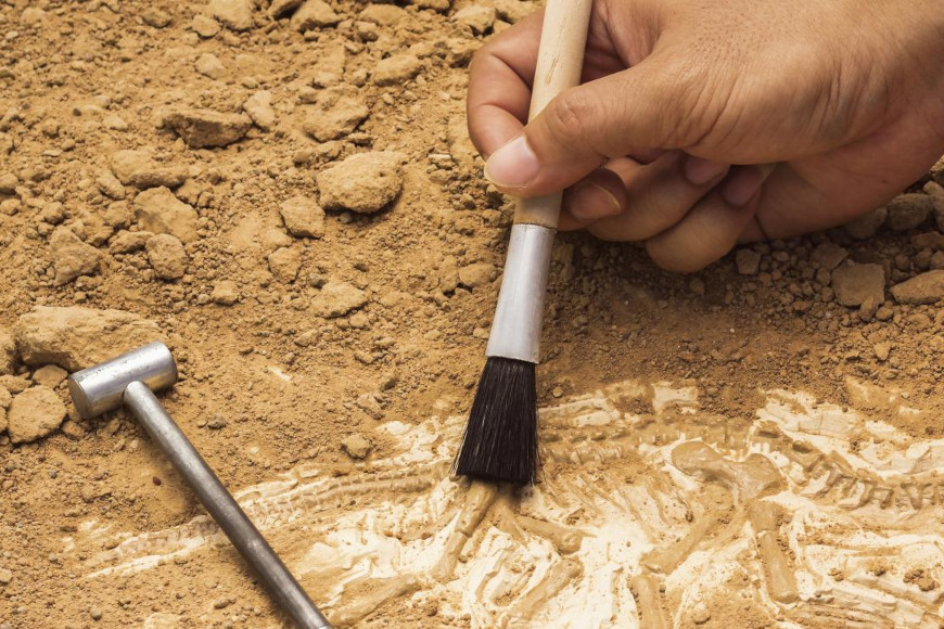 Potpore arheolozima u Bobarama, Trnavi, Donjim Andrijevcima i Gornjoj Bebrini