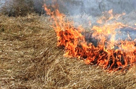 Počela sezona proljetnog čišćenja: Zabranjeno paljenje vatre na otvorenom